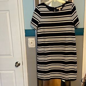 Navy striped Lark &Ro shift size Large. Never worn.